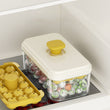 Ice Cube Tray with Lid and Bin