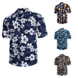 Men Hawaii Print Short Sleeves Tshirt Beach Shirt