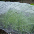 Garden Vegetable Insect Anti Bird Net