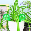 4 PCS Plant Watering Bulbs Automatic Watering Globes
