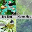 Garden Vegetable Insect Anti Bird Net