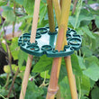 5Pcs Garden Plant Holder Connectors Bamboo Cane Holder for Climbing Plants