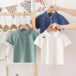 Boys Polo Short Sleeves Tshirt with Embroidery