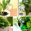 4 PCS Plant Watering Bulbs Automatic Watering Globes