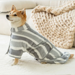 Super Absorbent Dogs Bathrobe