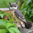 Mini  Garden Resin Owl Statue Decoration