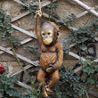Mini Hanging Rope Garden Ornament Outdoor  Resin Monkey Chimp Sculpture